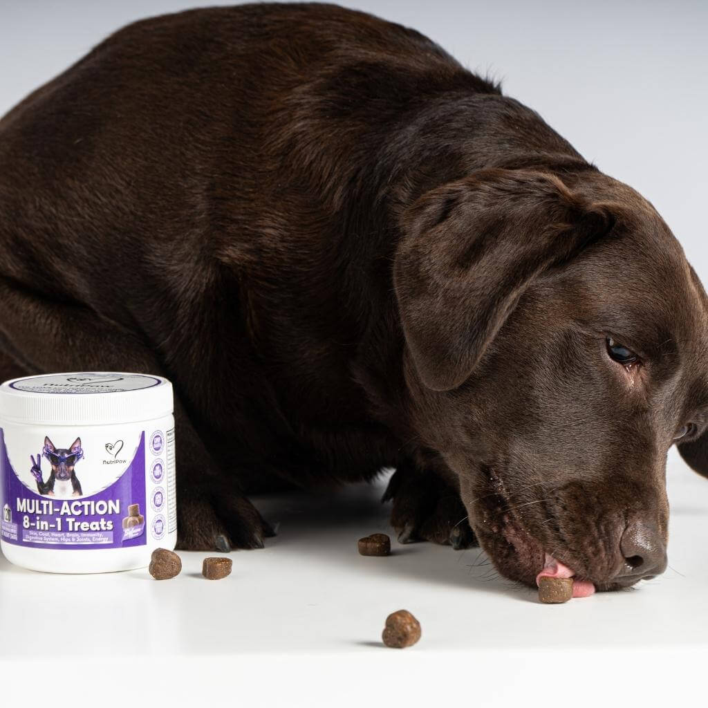 120 tasty calming treats for stress, anxiety & fear | 8-in-1 Multi-Action Treats